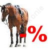 sale - HORSE