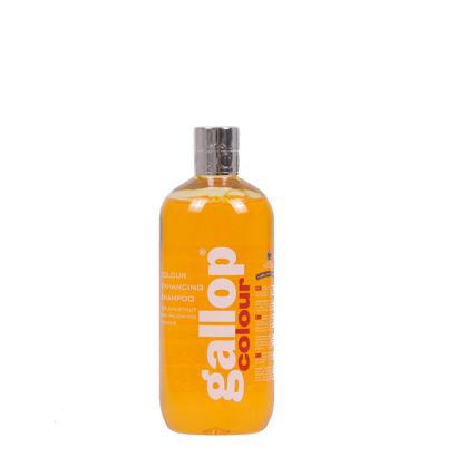 26 CARR&DAY&MARTIN Gallop - szampon wzamacniajacy kolor dla koni kasztanowych 500ml