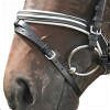 nosebands