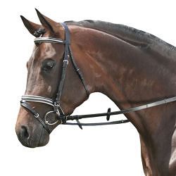 BRIDLES