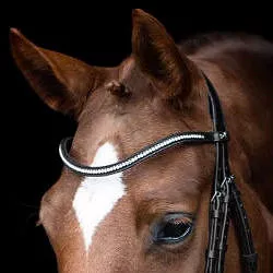 browbands
