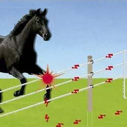Fencing