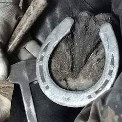 FARRIER TOOLS