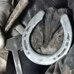 Farrier tools