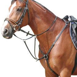 MARTINGALES and BREASTPLATES