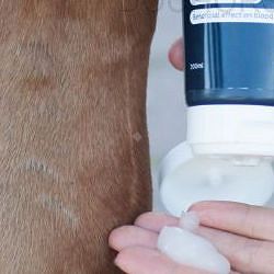 biological regeneration and treatment 