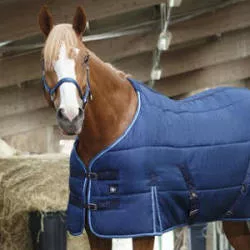 Stable rugs