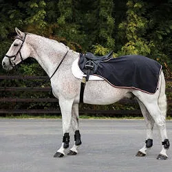 Exercise rugs