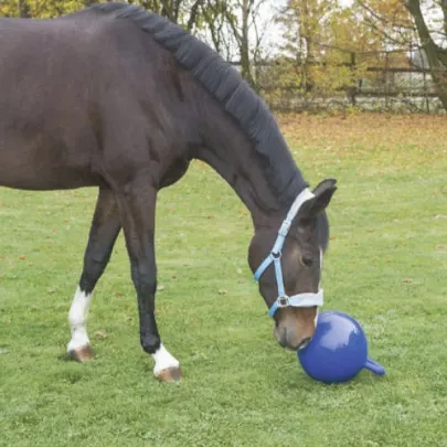 Horse toys