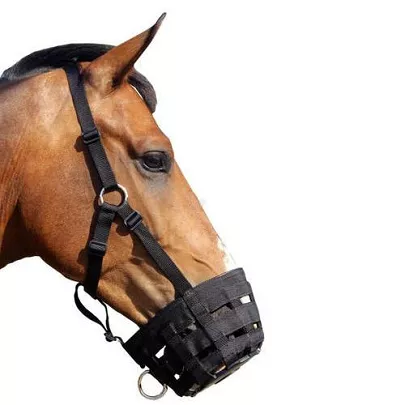 Muzzles, Anti-Cribbing collars, Twitches