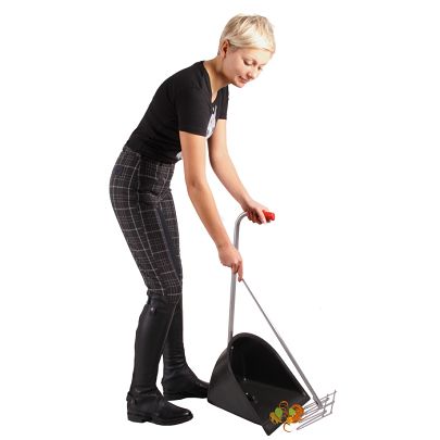 Cleaning in the stable