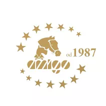 AMIGO