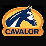 CAVALOR