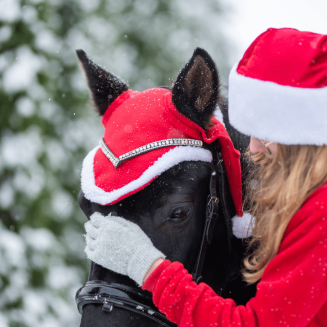 Świąteczne nauszniki dla konia Y z pomponam, czerwone /  25350 - 4