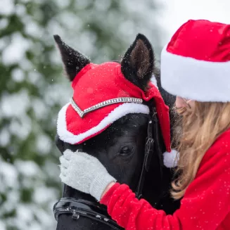 Festive Horse Ear Covers with Pom-Poms - 4
