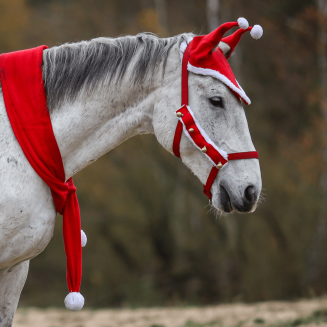 Świąteczne nauszniki dla konia Y z pomponam, czerwone /  25350 - 3