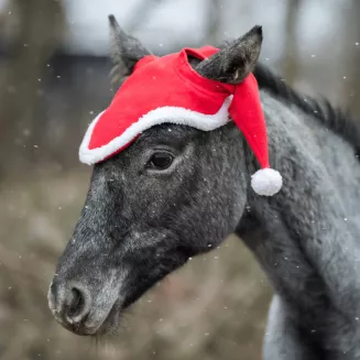Festive Horse Ear Covers with Pom-Poms - 2
