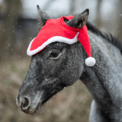 Festive Horse Ear Covers with Pom-Poms