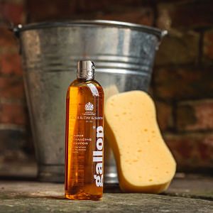 262 CARR & DAY & MARTIN CANTER - Gallop Colour Shampoo Chestnut 500ml CC013