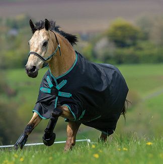 Derka padokowa przeciwdeszczowa HORSEWARE AMIGO HERO 900 PLUS z ociepleniem 100g i odpinanym kapturem / AAMPT2 - 3