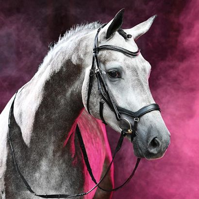 Ogłowie anatomiczne, skórzane BUSSE Feeling  / 120079