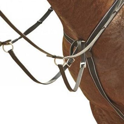 HKM Martingale with elastic ECONOMIC / 6847