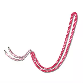 WALDHAUSEN Lunging Aid - 2