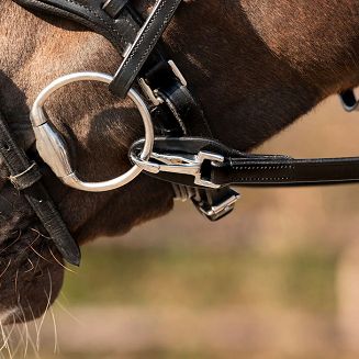 One Hand Rein QHP wodza do jazdy jedną ręką / 2232 - 5