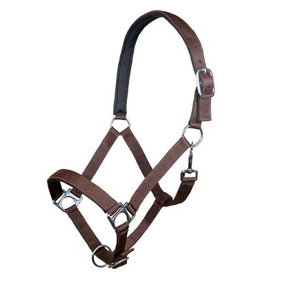 Kantar taśmowy podszywany HKM Stars Dark Brown / 6613