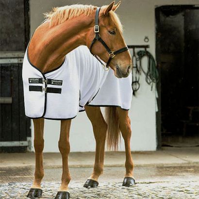 0 Derka osuszająca HORSEWARE RAMBO Techni Waffle Cooler / ACAW62