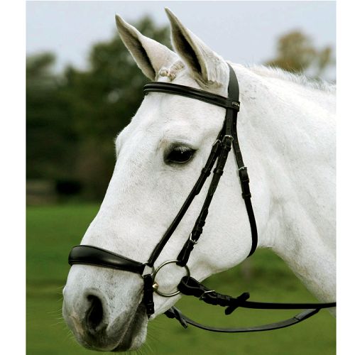 STAR Bridle  HANNOVER / 8138