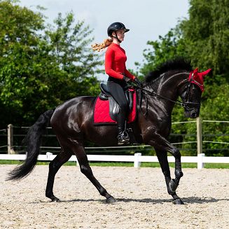 Bryczesy - leginsy damskie QHP Oakleigh, pełny silikonowy lej, Black / 8911 - 6