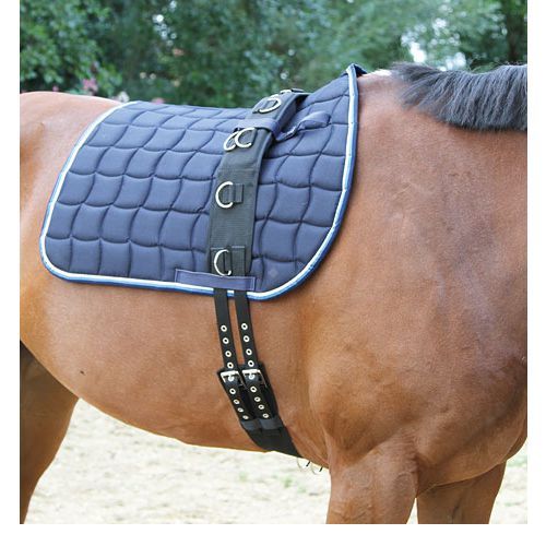 KERBL Lunging belt / 32339