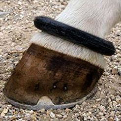 Ochraniacz na koronkę STALLION Ringi - para / 2231