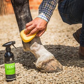 Po wyschnięciu wyszczotkować.