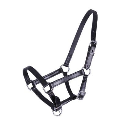 Foal head collar leather QHP CHICO / 1013