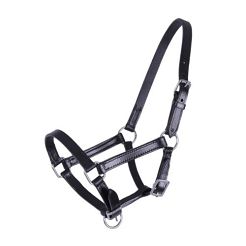 Foal head collar leather QHP CHICO / 1013
