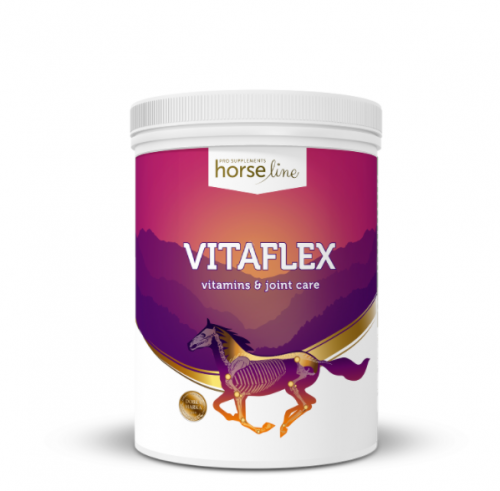 HorseLinePRO Vitaflex 2000g