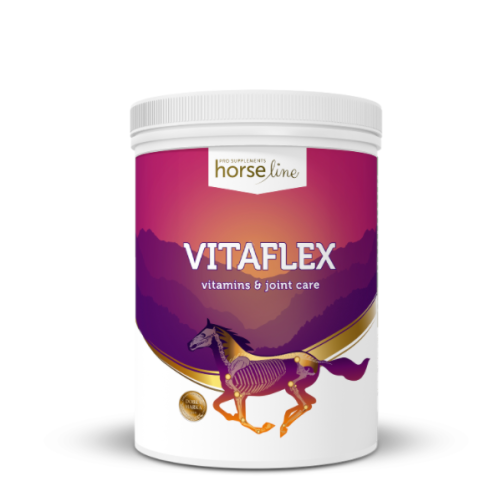 HorseLinePRO Vitaflex 2000g
