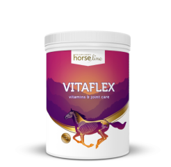 HorseLinePRO Vitaflex 2000g