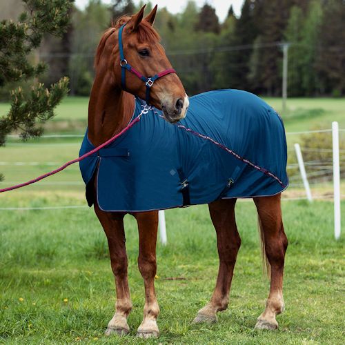 0 Derka siatkowa HORZE Dorchester,  przeciw owadom / 24837