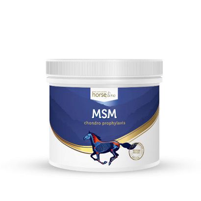 HorseLinePRO MSM dodatek żywieniowy dla koni i kucy 500g