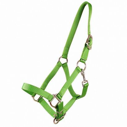 Halter MUSTANG Amigo - celadon  / 0005