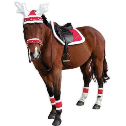 Christmas bandages EQUI-THEME 4pcs / 900907