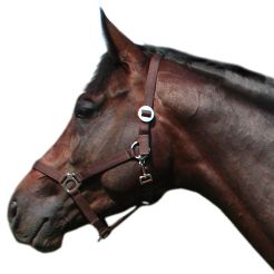 Tape halter simple MUSTANG - 45 brown /0001