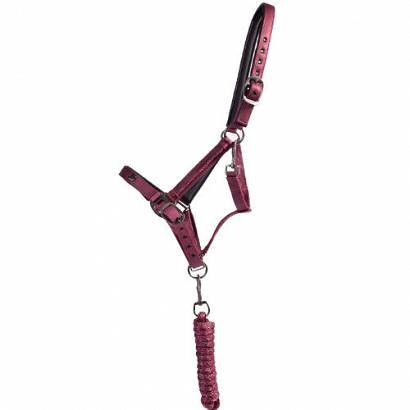 Halter with lead rope QHP Lily / 1132