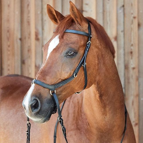 Ogłowie anatomiczne bezwędzidłowe HORZE Orlando czarne / 10125