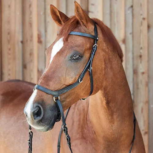 Anatomical Bitless Bridle HORZE Orlando Combined, Black/ 10125