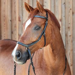 Anatomical Bitless Bridle HORZE Orlando Combined, Black/ 10125