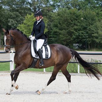 Rajtrok - frak skokowy, damski QHP Novèn black / 8433